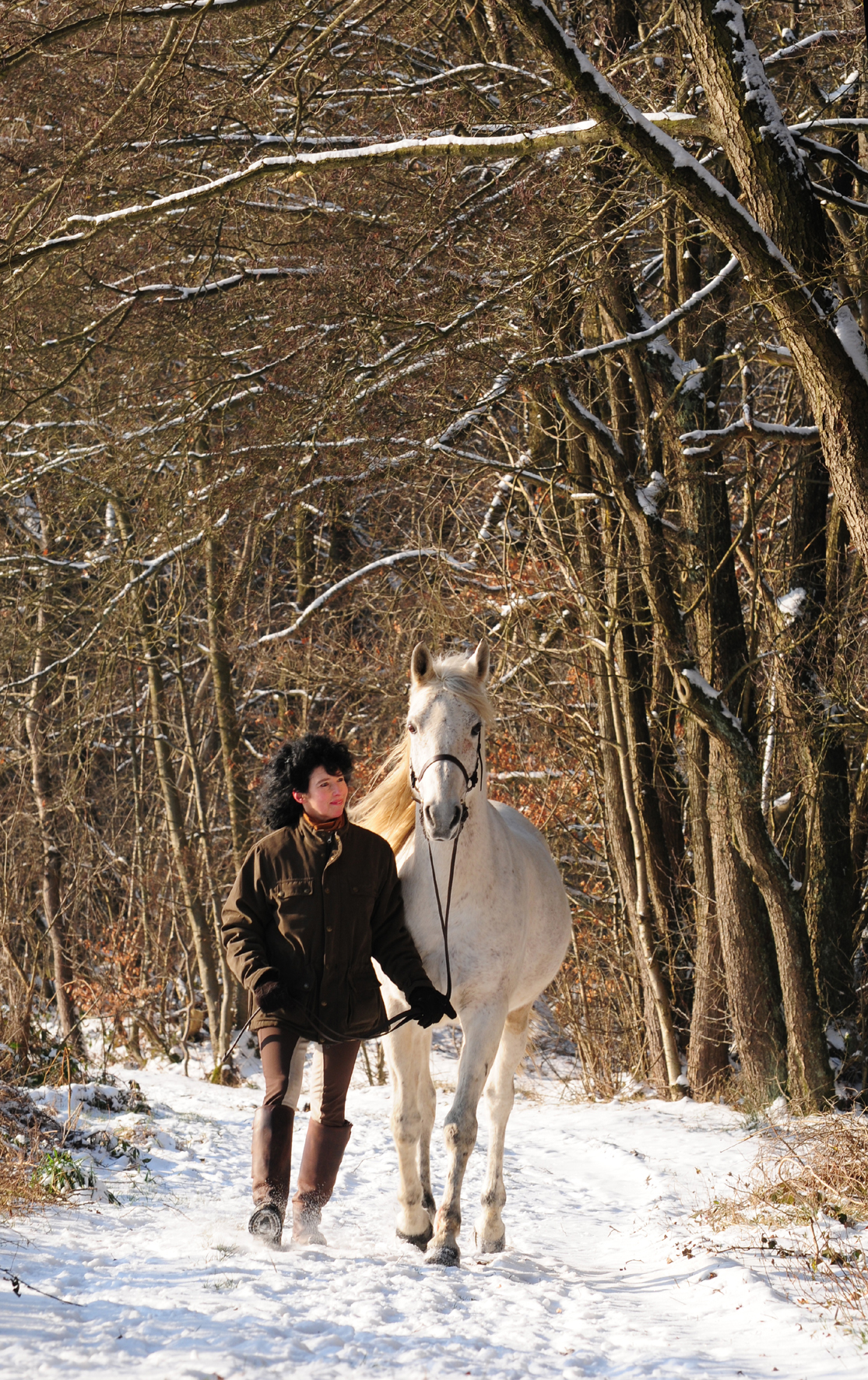 Schnee und Eis