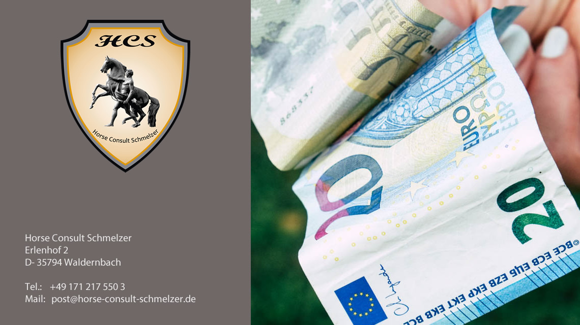 Finanzierung: Businessplan f&uuml;r Pferdebetriebe
