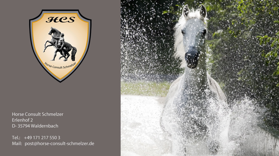 F&ouml;rderprogramme f&uuml;r Reitanlagen