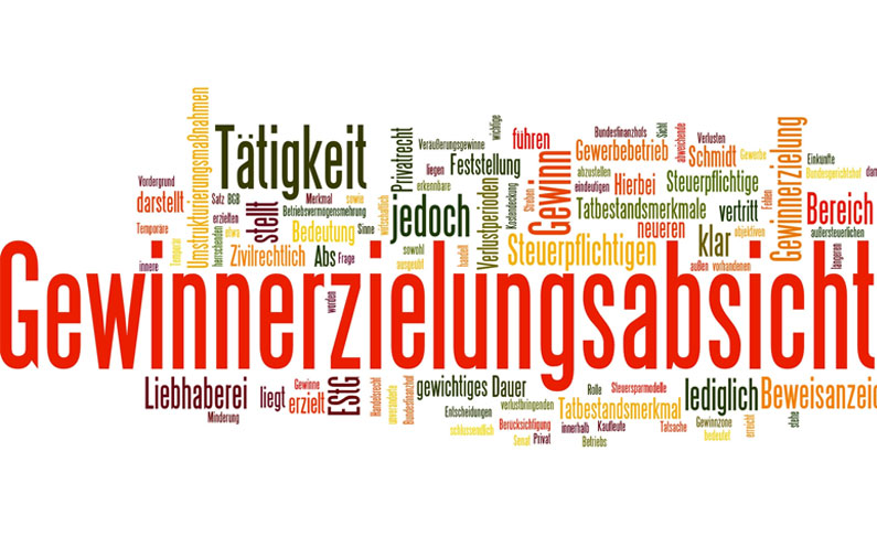 Gewinnerzielungsabsicht im Pferdebetrieb vs. Liebhaberei