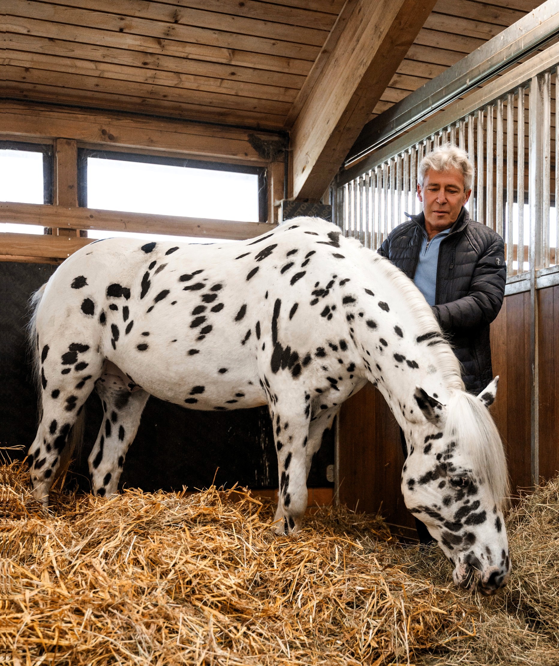 Hufreheerkrankung beim Pferd - Risiken und Gefahren