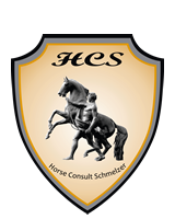 Horse Consult Schmelzer - Beratung f&uuml;r Ihren Pferdebetrieb